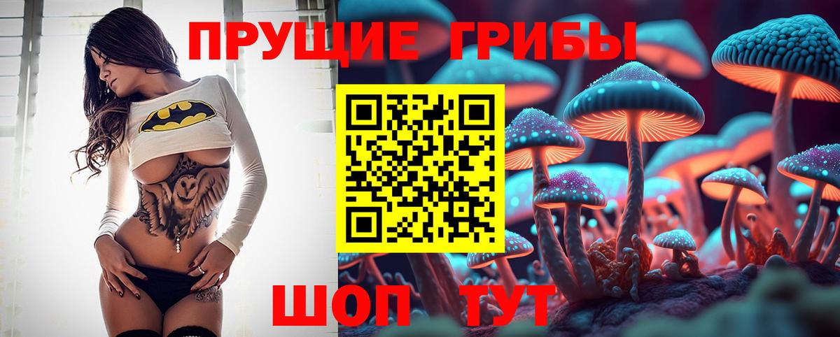 где купить наркоту  Вход с VPN  Каспийск  Галлюциногенные грибы Psilocybe 